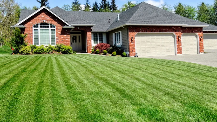 Landscaping Services Landscaping Services